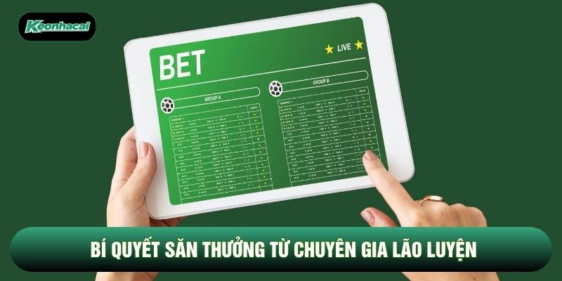 Bí quyết săn thưởng từ chuyên gia lão luyện Bí quyết săn thưởng từ chuyên gia lão luyện