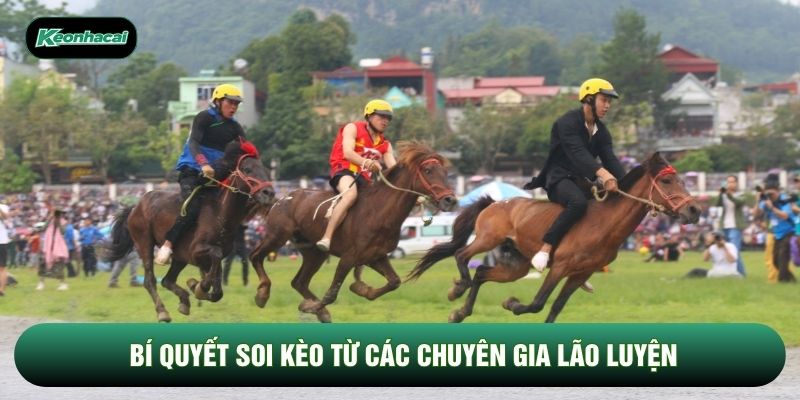 Bí quyết soi kèo từ các chuyên gia lão luyện