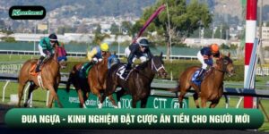 Đua Ngựa - Kinh Nghiệm Đặt Cược Ăn Tiền Cho Người Mới
