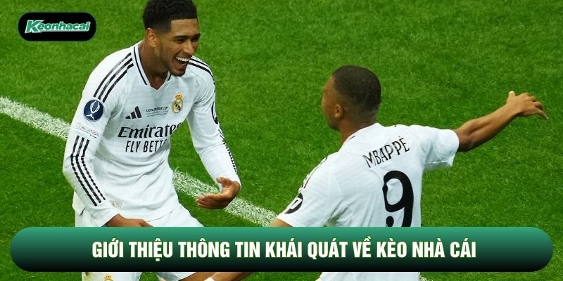 Giới thiệu thông tin khái quát về Kèo Nhà Cái Giới thiệu thông tin khái quát về Kèo Nhà Cái