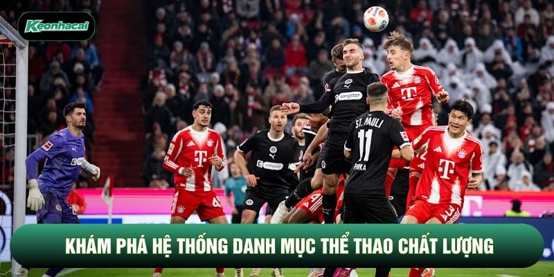Khám phá hệ thống danh mục thể thao chất lượng Khám phá hệ thống danh mục thể thao chất lượng