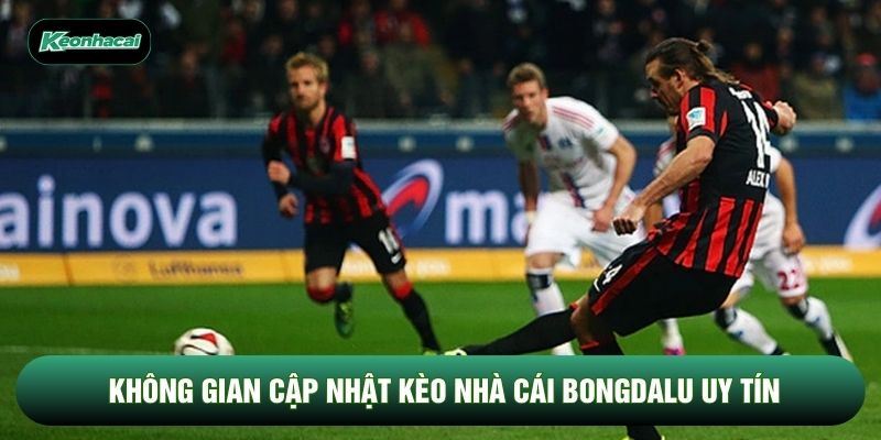 Không gian cập nhật kèo nhà cái bongdalu uy tín Không gian cập nhật kèo nhà cái bongdalu uy tín