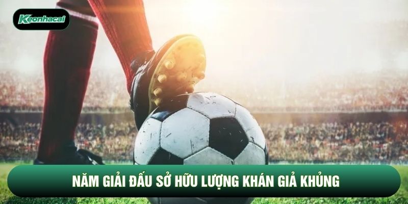Năm giải đấu sở hữu lượng khán giả khủng