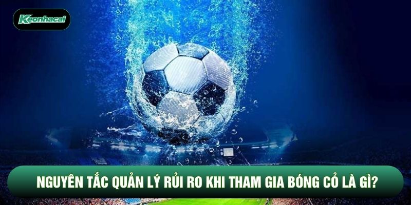 Nguyên tắc quản lý rủi ro khi tham gia bóng cỏ là gì?