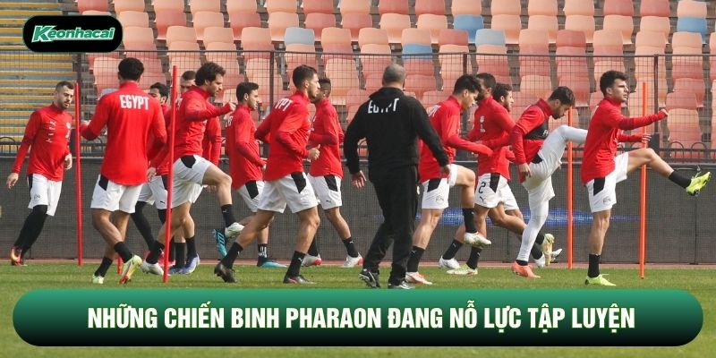 Những chiến binh Pharaon đang nỗ lực tập luyện Những chiến binh Pharaon đang nỗ lực tập luyện