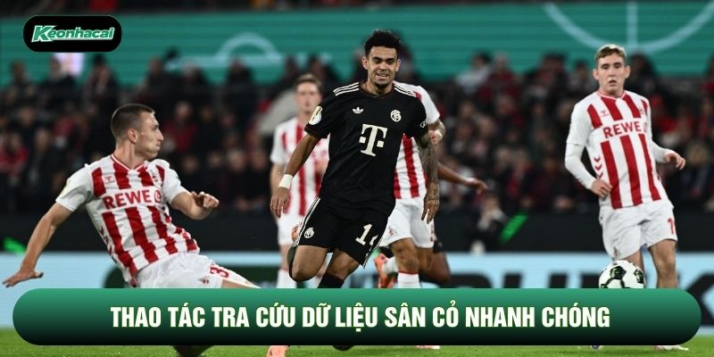 Thao tác tra cứu dữ liệu sân cỏ nhanh chóng Thao tác tra cứu dữ liệu sân cỏ nhanh chóng