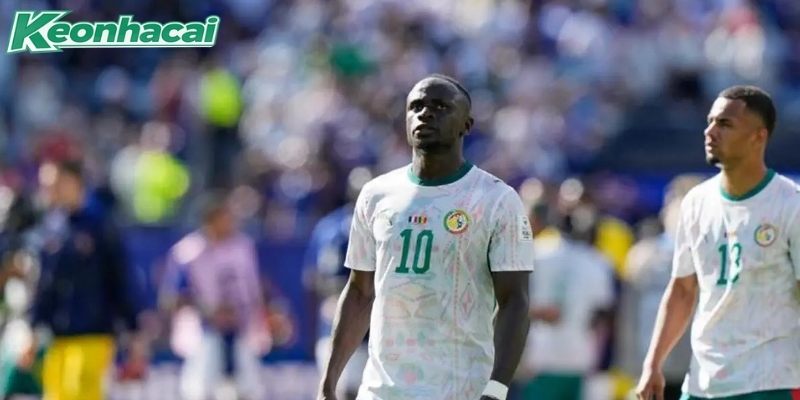 Hàng công của Senegal được kỳ vọng sẽ bùng nổ Hàng công của Senegal được kỳ vọng sẽ bùng nổ